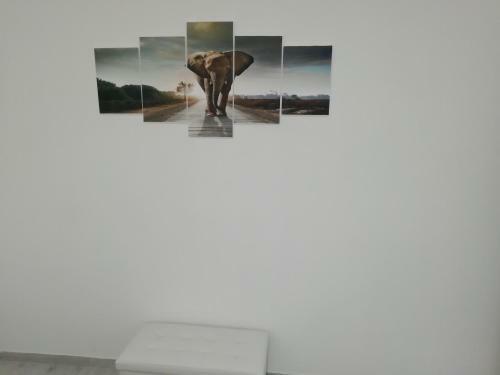 Hostal Casa Mia