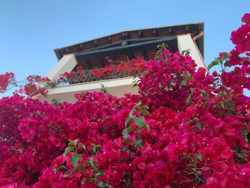 Apartamento Appartamenti Supramonte