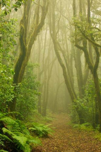 Apartamento Finca Eva-adults 0nly