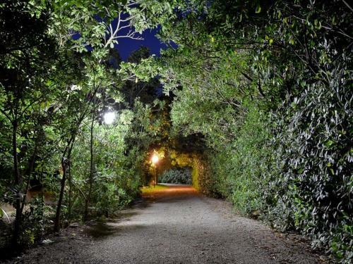 Apartamento Masseria Lama