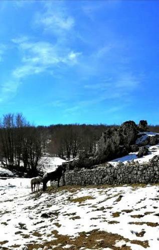 Apartamento Le Rocce