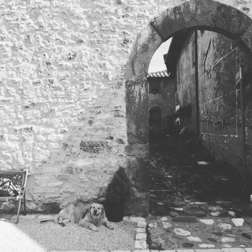 Apartamento La Difesa