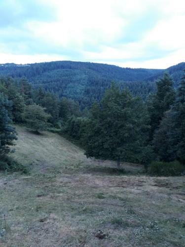 Cabane