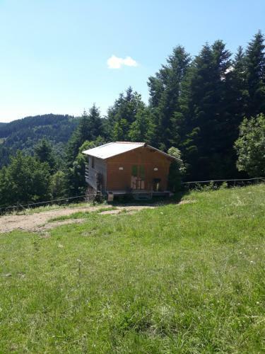 Cabane