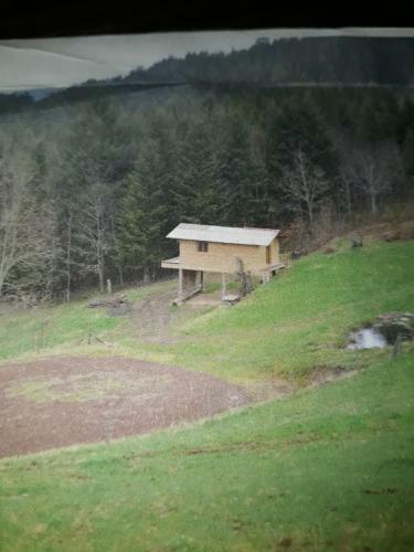 Cabane