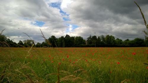 Bed & Breakfast Ch�teau De La Vern�de