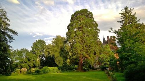 Bed & Breakfast Ch�teau De La Vern�de