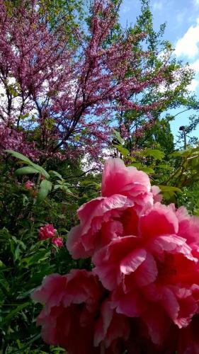 Bed & Breakfast Ch�teau De La Vern�de