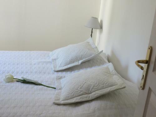 Apartamento Residence De La Rasclose
