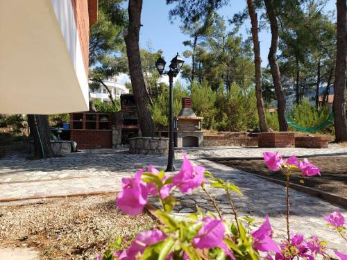 Apartamento Vila Elezi