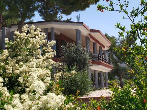 Apartamento Vila Elezi