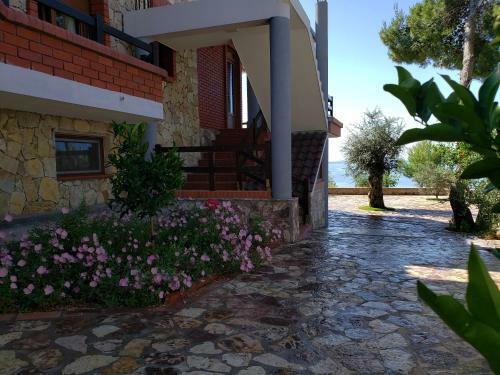 Apartamento Vila Elezi