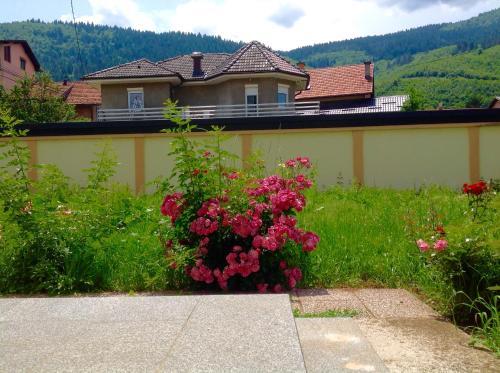 Villa "picnic" ??? " ???? "