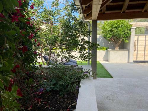 Apartmani Ortolio