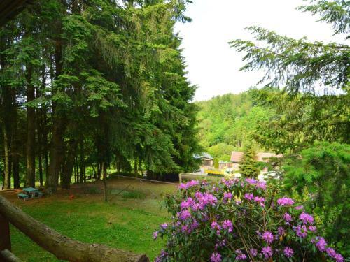 Chalet Al Fontain Des Flons Houffalize