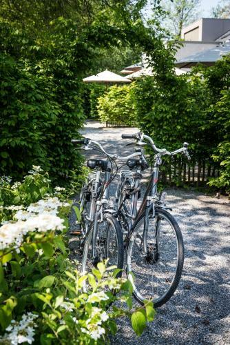 B&B Marcel De Gand