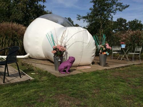 B&B De Witte Merel Deluxe