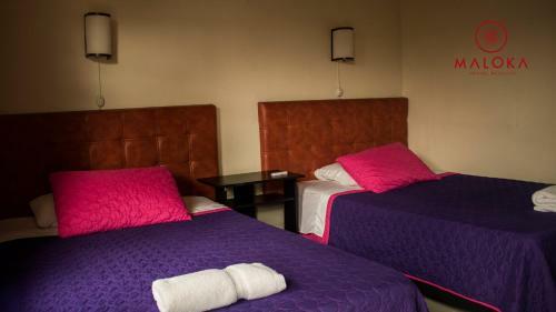 Hostal Maloka Hostel Medellin