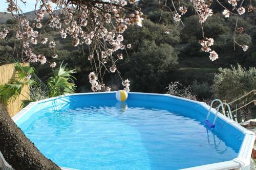 Villa Cortijo Rincon De La Alcudia