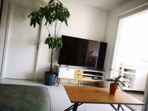 Apartamento Agr�able T2 Neuf Ajaccio Climatis� Wi-fi