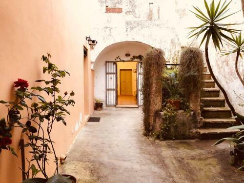 La Casetta Bianca, Tipical Salento Historic House
