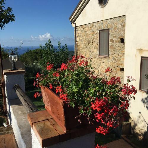 Tenuta Lacco