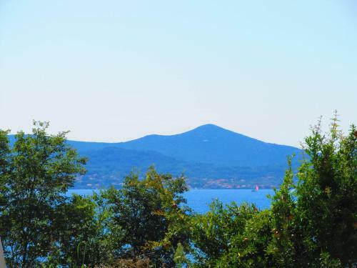 Apartamentos Seaview Holiday House Mali Rog