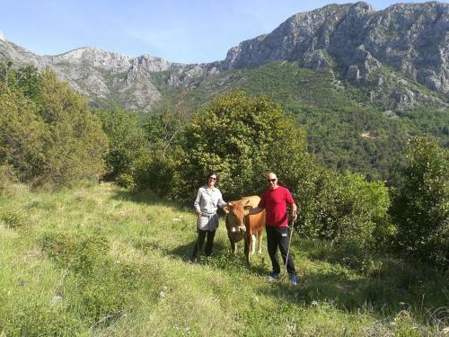 Holiday Home Piece Of Peace - Agrotourism