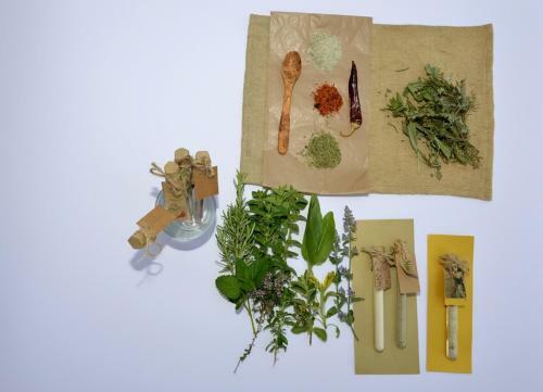 Holiday Home Piece Of Peace - Agrotourism