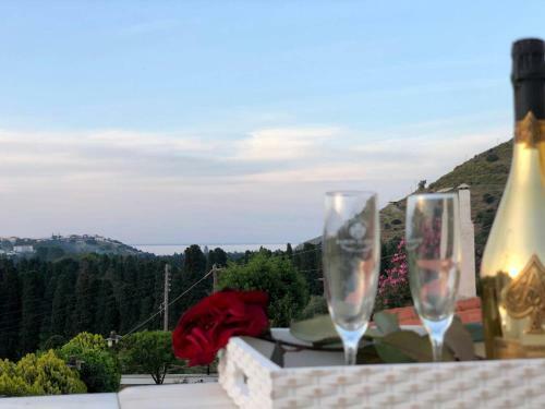 Villa Neoclassical Mansion With View And Garden