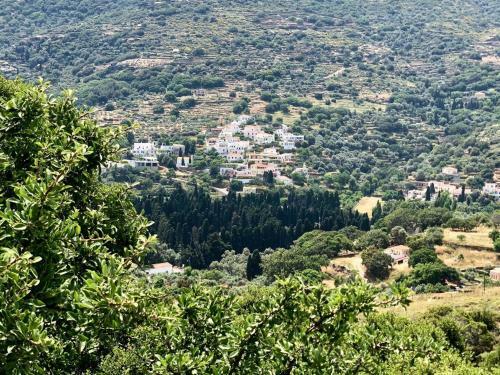 Villa Neoclassical Mansion With View And Garden