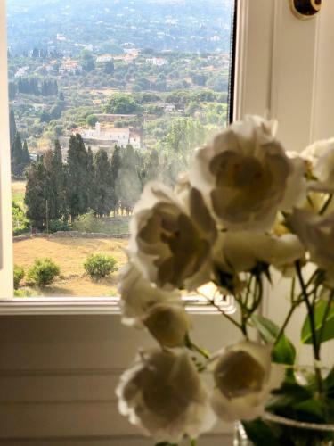 Villa Neoclassical Mansion With View And Garden