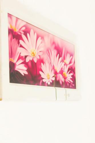 Apartamento Villa Maslina Olive