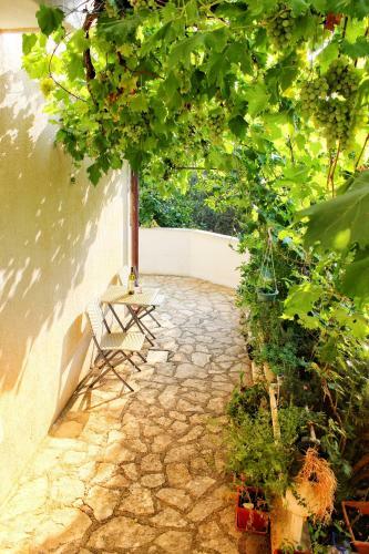 Apartamento Villa Maslina Olive