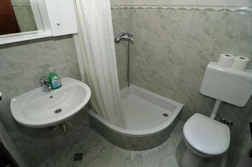 Apartments Carevic
