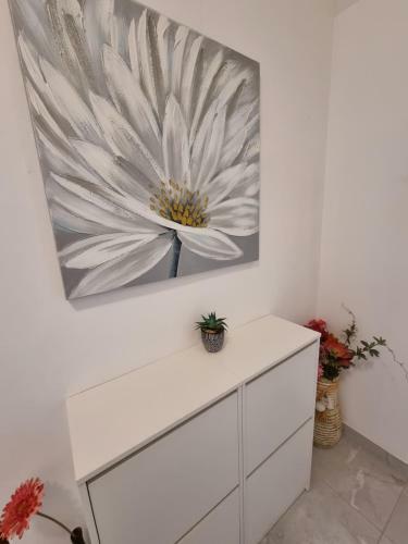 Apartments Lili