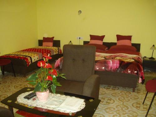 Hostal Somodi Vend�gh�z