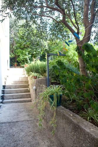 Hostal Apartments & Rooms Jelka