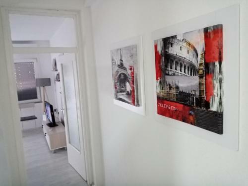 New Apartment