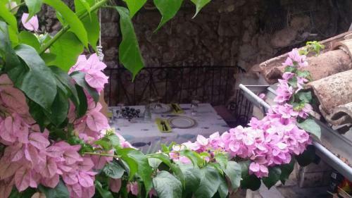 Hostal Apartman I Sobe ?ule Cres