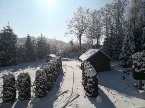Hostal Pensiunea Racova