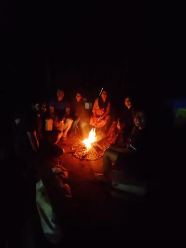 Chikmagalur Ammara Ecostays