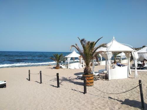 Apartamento Oasis Resort & Spa Studio 1