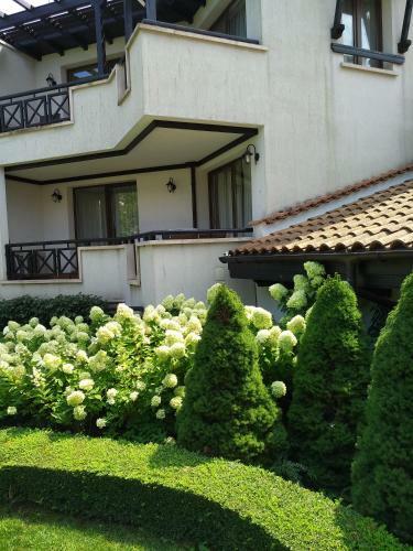 Apartamento Oasis Resort & Spa Studio 1
