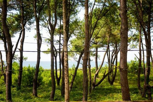 Villa By The Sea