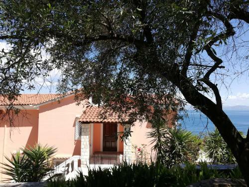 Apartamento Aurora Mansion (olive Branch)