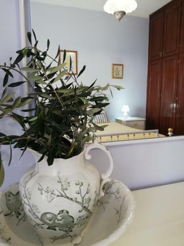 Apartamento Aurora Mansion (olive Branch)