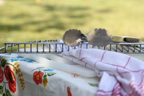 Apartamento Balla Mama, Hajd�szoboszl�