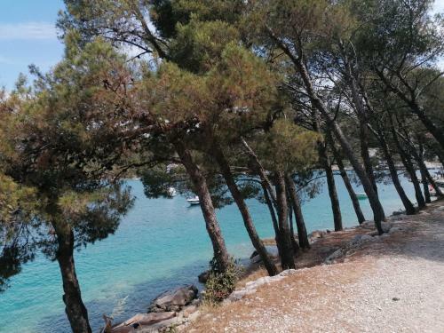 Apartamentos Villa Novamarin