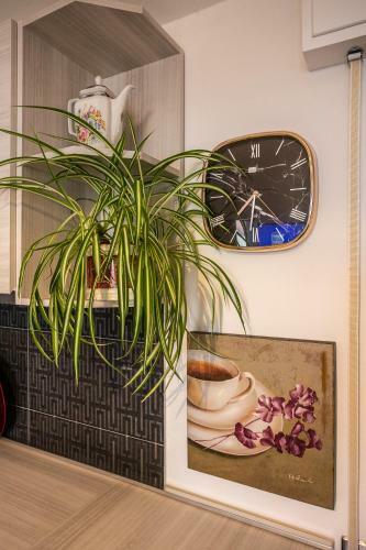 Apartamento Appartamento Caterina